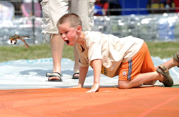 Frog Jump Festival - 1